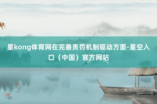 星kong体育网在完善责罚机制驱动方面-星空入口（中国）官方网站