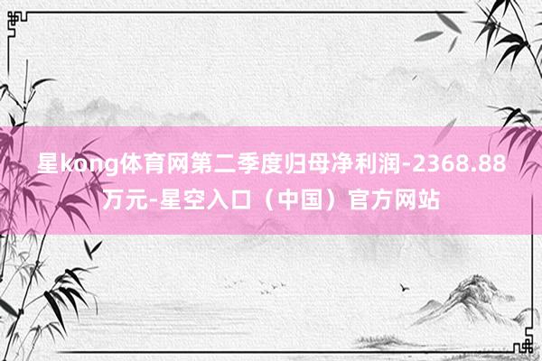 星kong体育网第二季度归母净利润-2368.88万元-星空入口（中国）官方网站