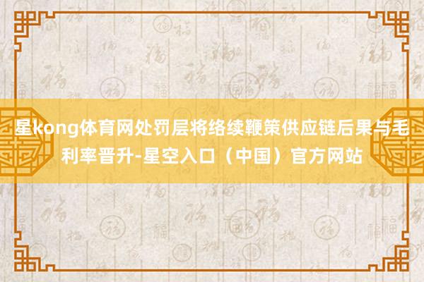 星kong体育网处罚层将络续鞭策供应链后果与毛利率晋升-星空入口（中国）官方网站