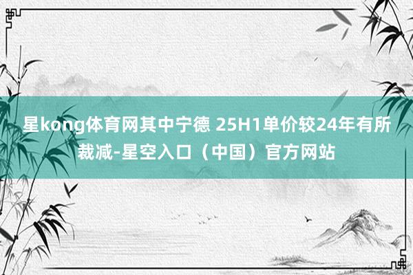 星kong体育网其中宁德 25H1单价较24年有所裁减-星空入口（中国）官方网站
